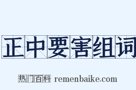 正中要害组词是什么意思的图片